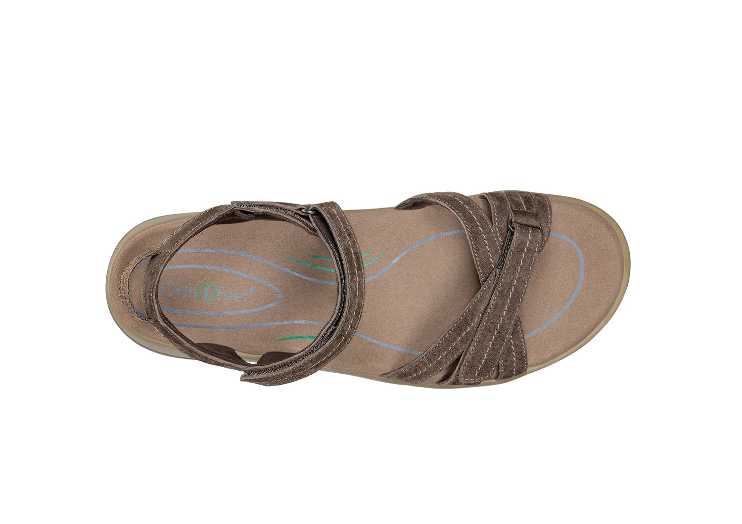 Hydra - Brown - Image 11