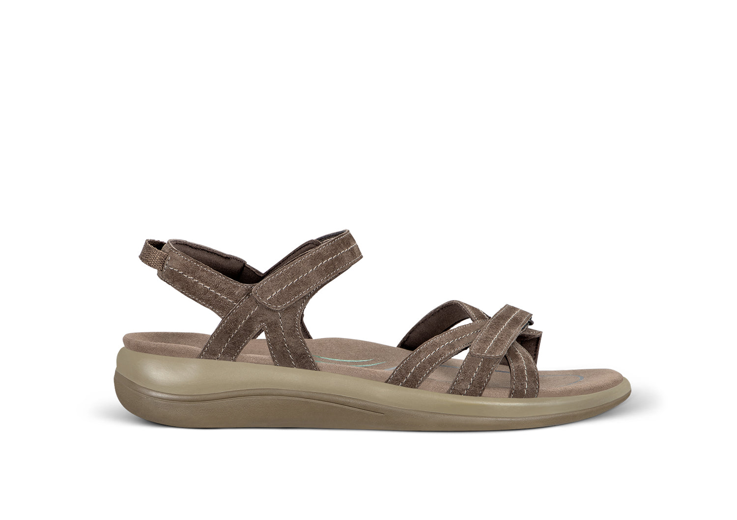 Hydra - Brown