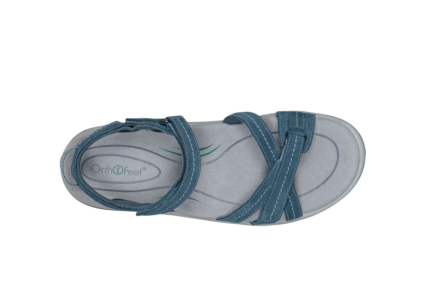Hydra - Blue - Image 11