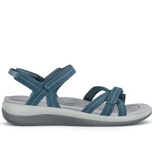 Hydra - Blue