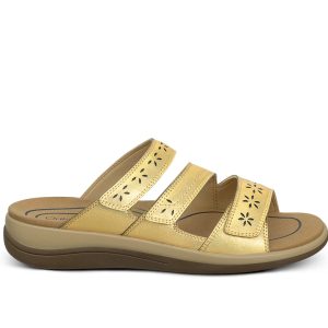 Sahara - Gold